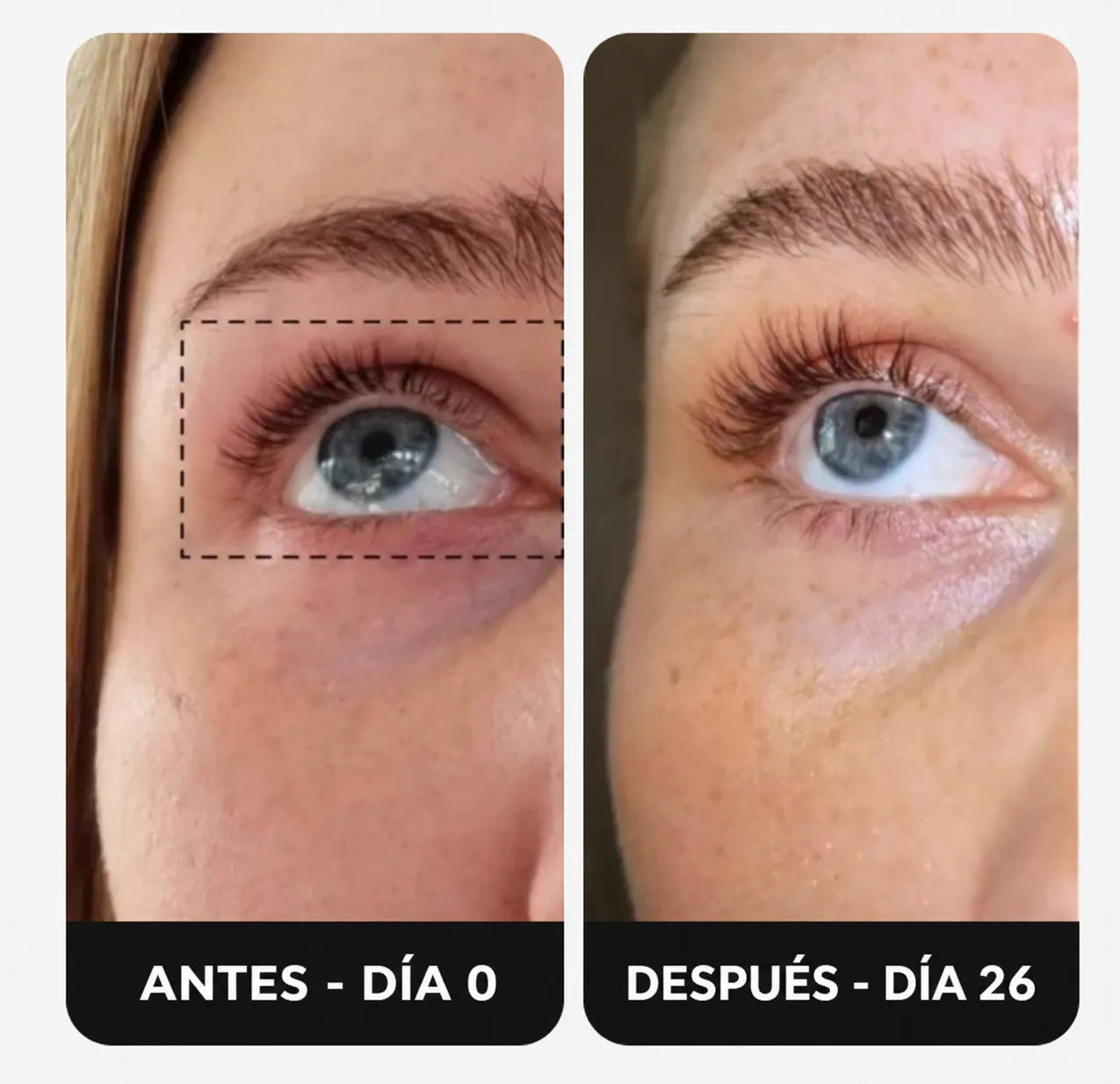 Excelente producto que cumple lo que promete