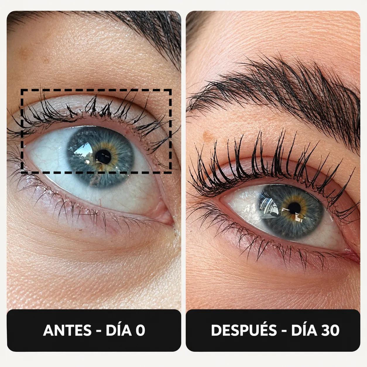 He probado muchos correctores de ojeras.