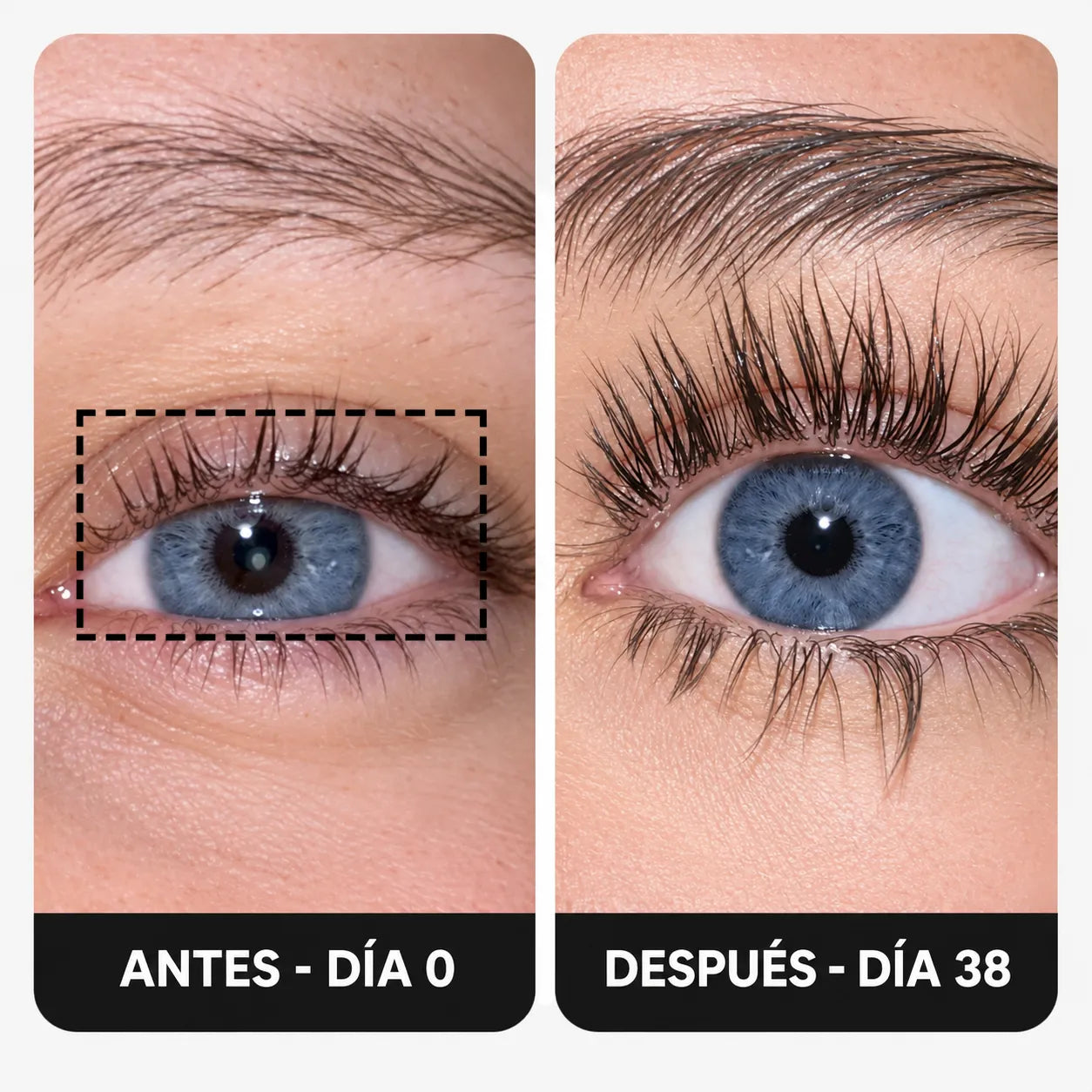 ¡Mis pestañas están más largas y densas!